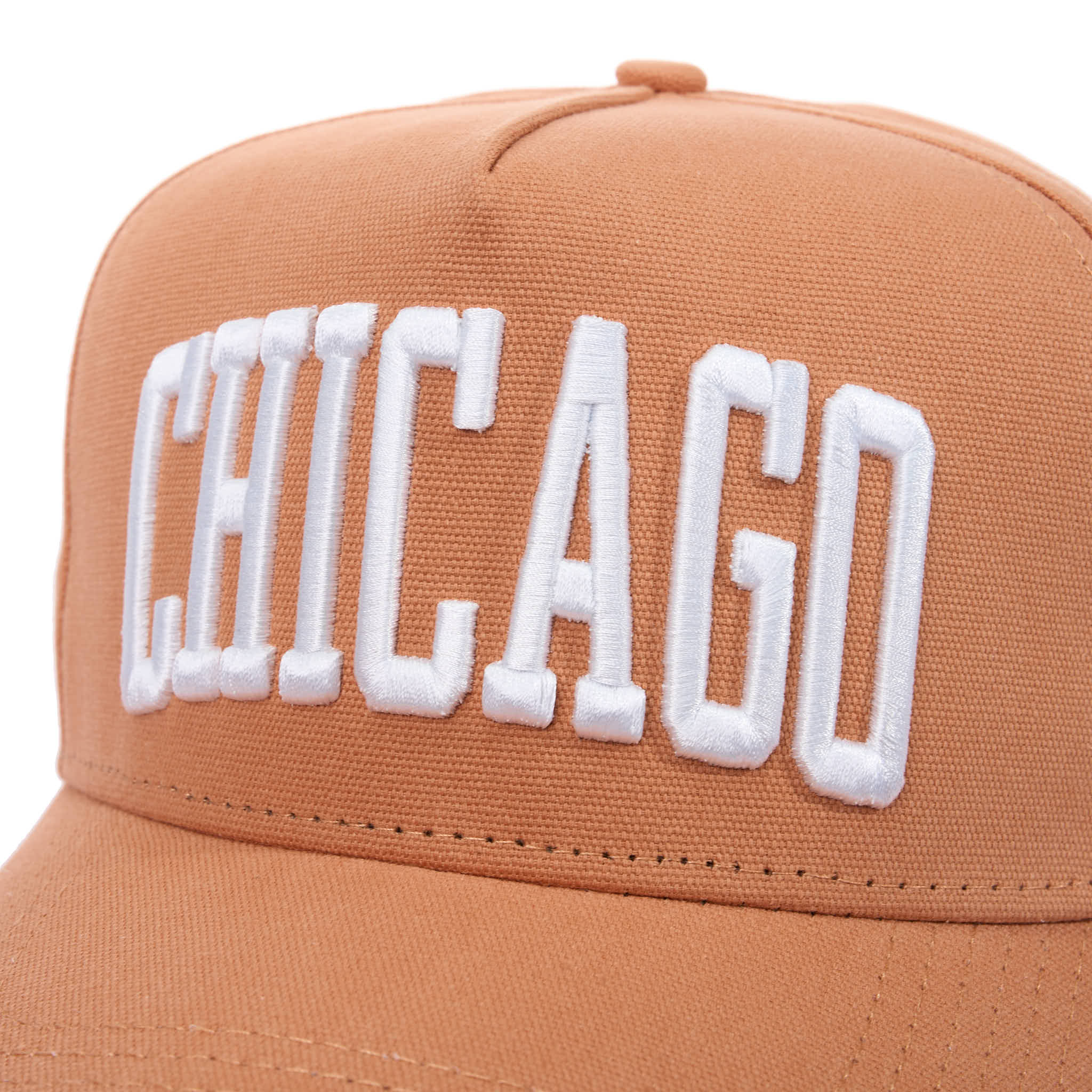 CHICAGO ARCH - CANVAS