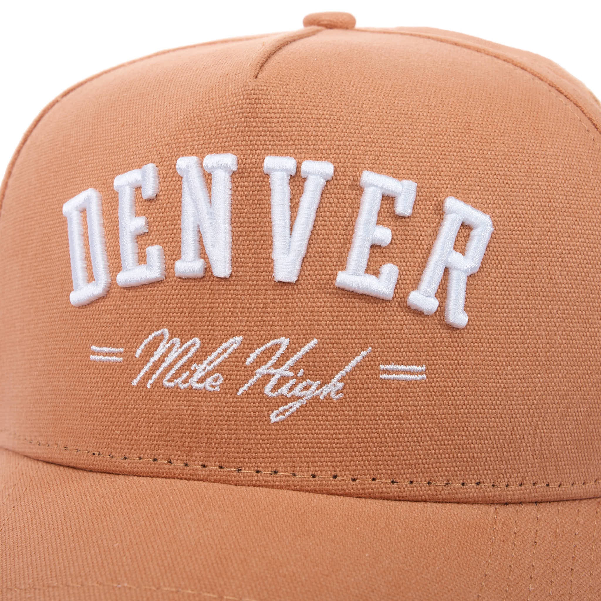DENVER MILE HIGH - CANVAS