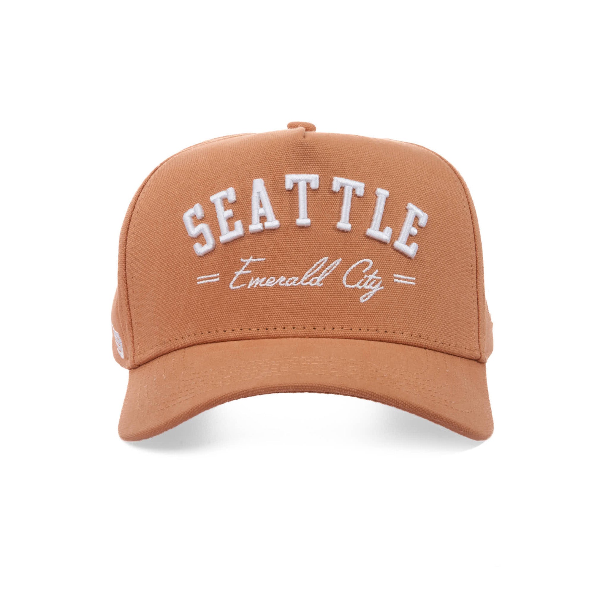 SEATTLE EMERALD CITY - CANVAS