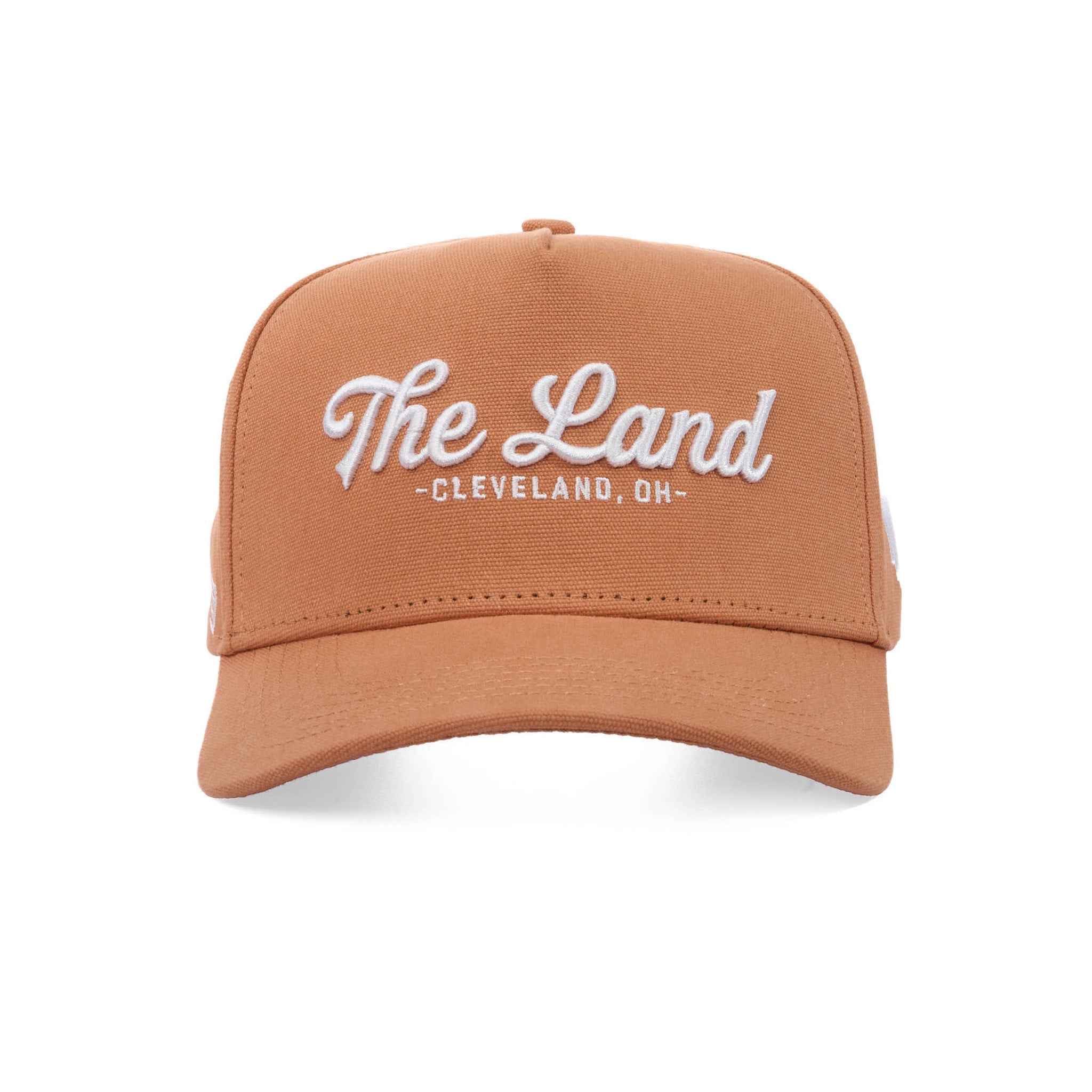 THE LAND SCRIPT - CANVAS