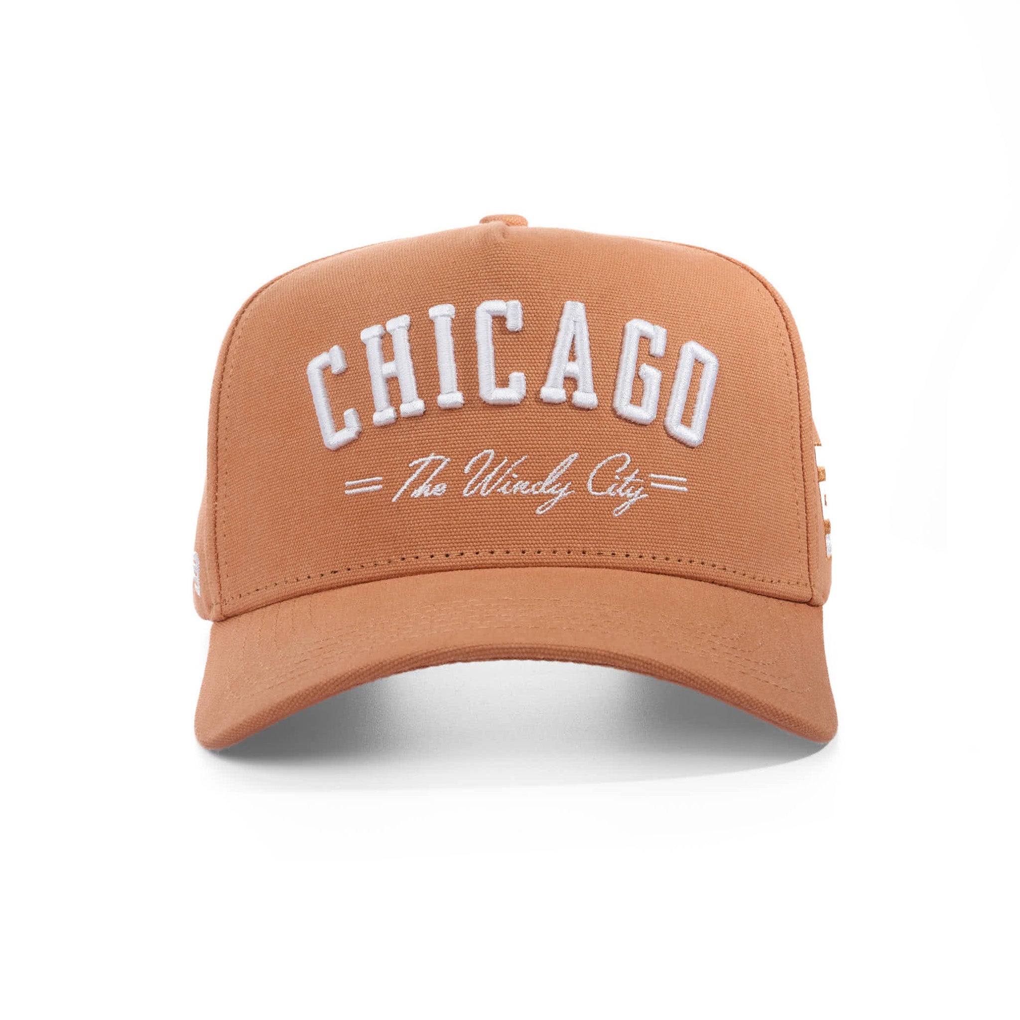 CHICAGO THE WINDY CITY - CANVAS