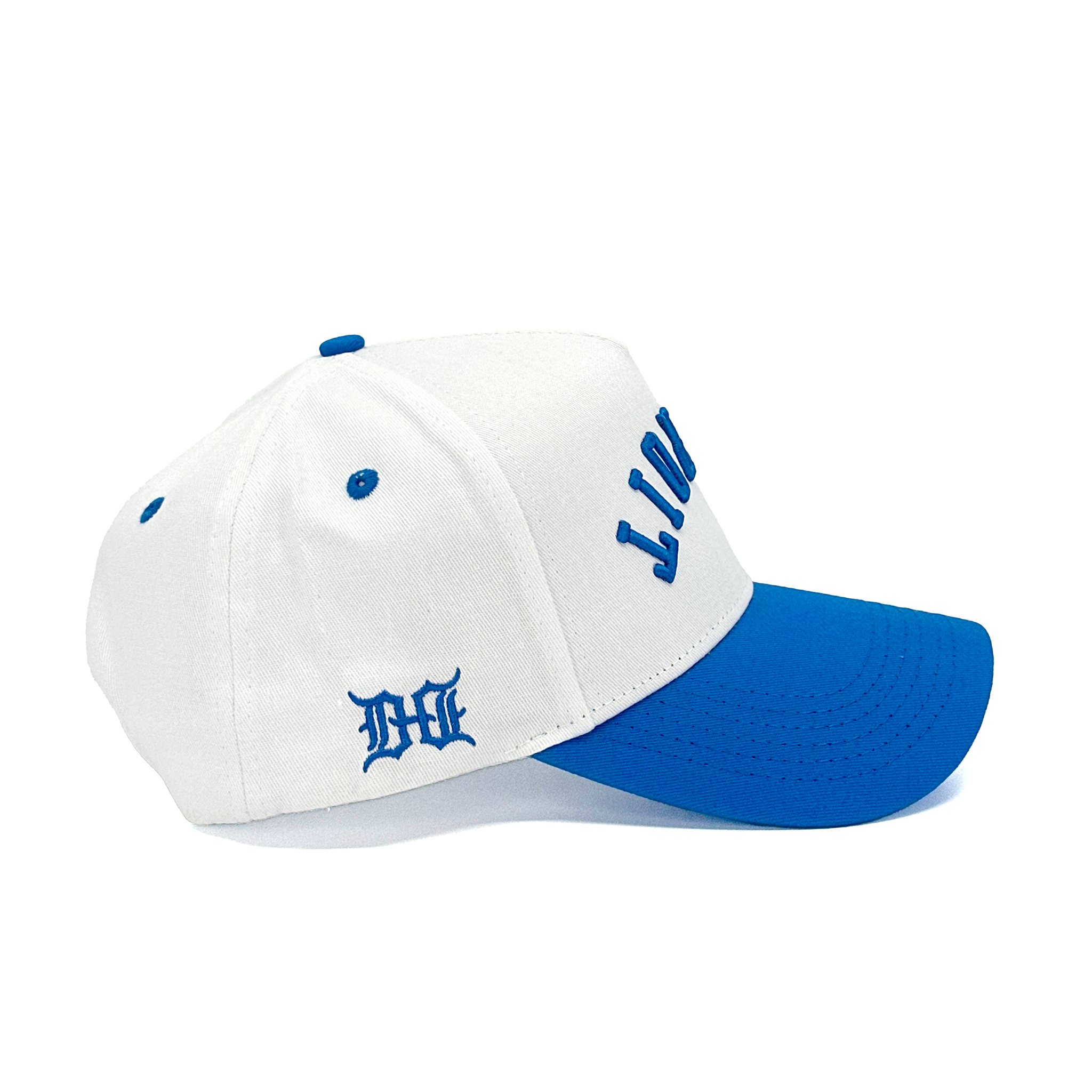 DETROIT UPSIDE DOWN - WHITE/BLUE