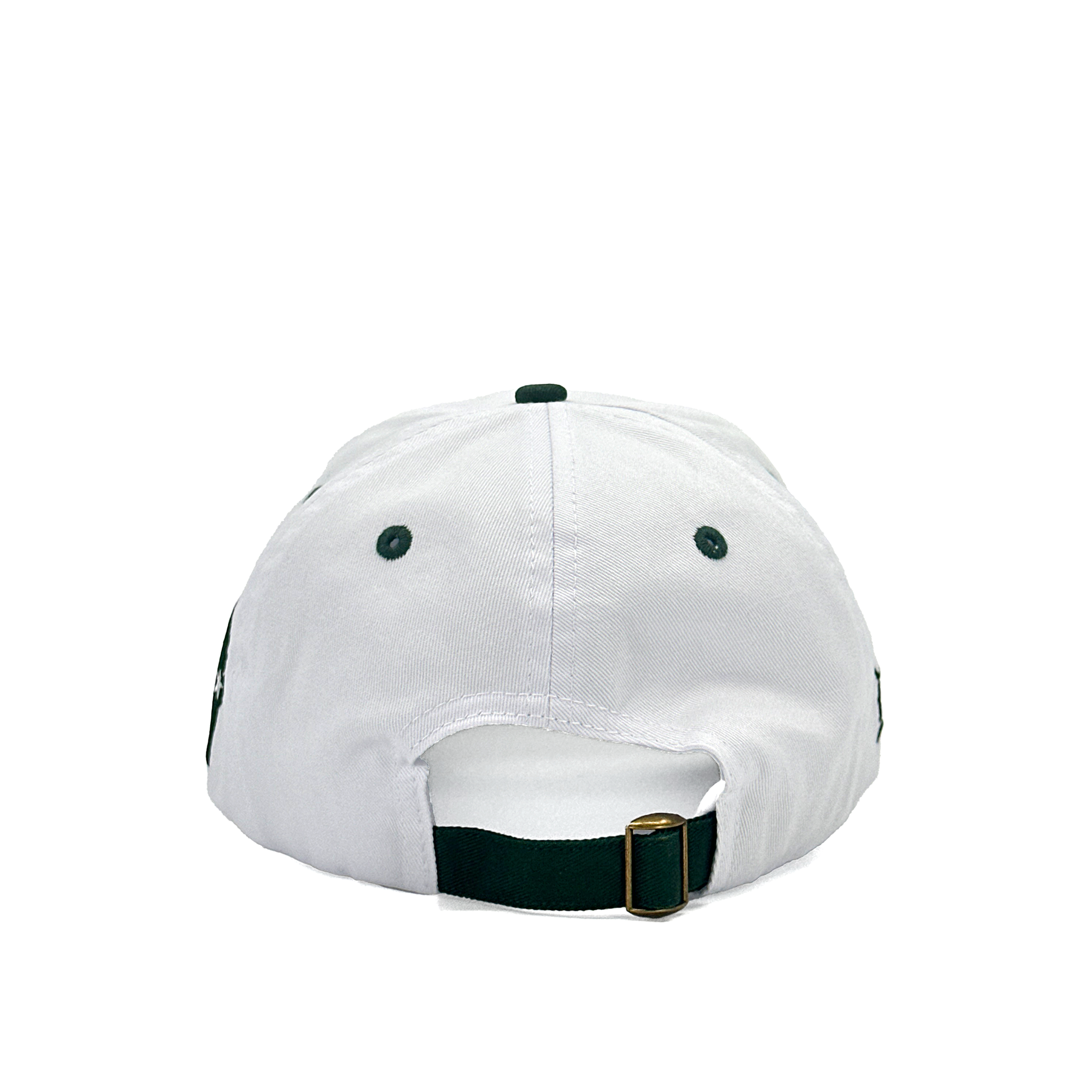 GREEN BAY UPSIDE DOWN DAD HAT - WHITE/GREEN