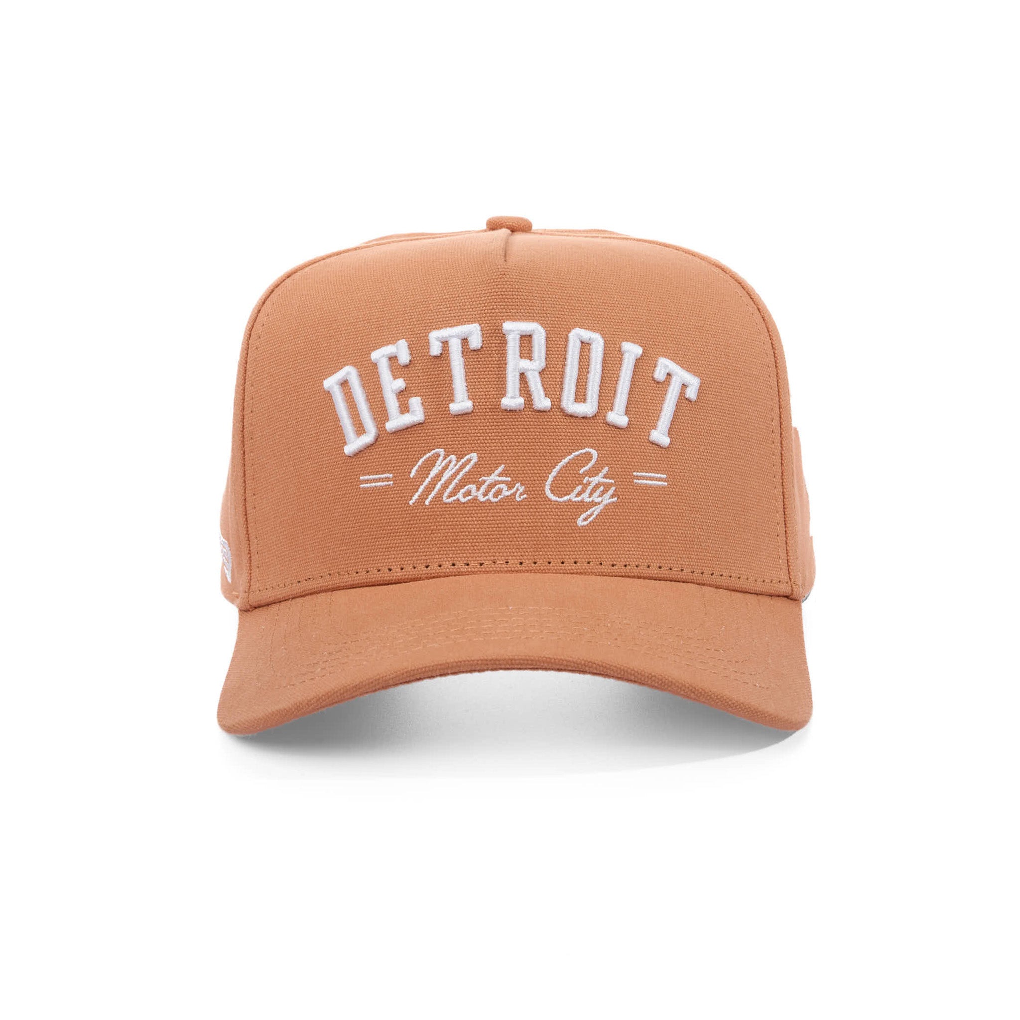 DETROIT MOTOR CITY - CANVAS