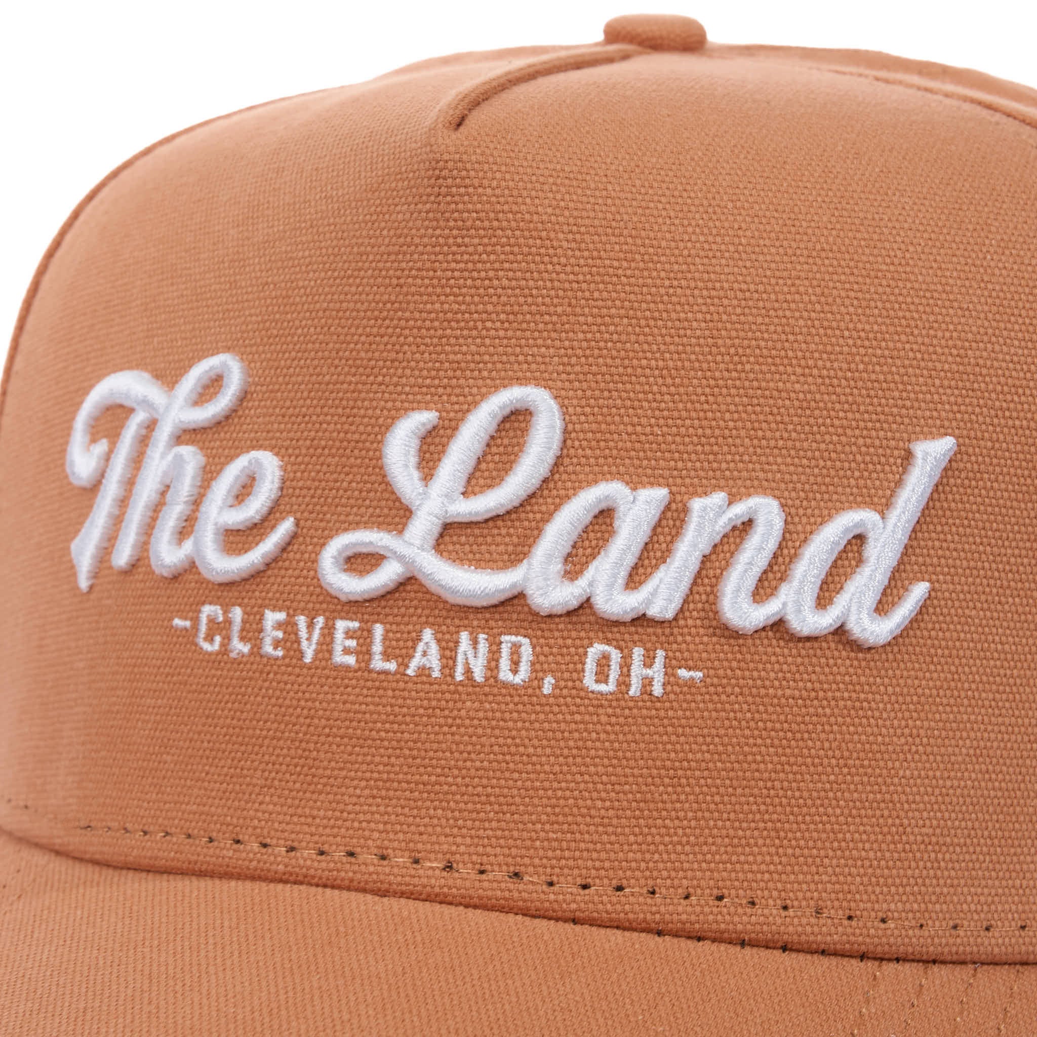 THE LAND SCRIPT - CANVAS