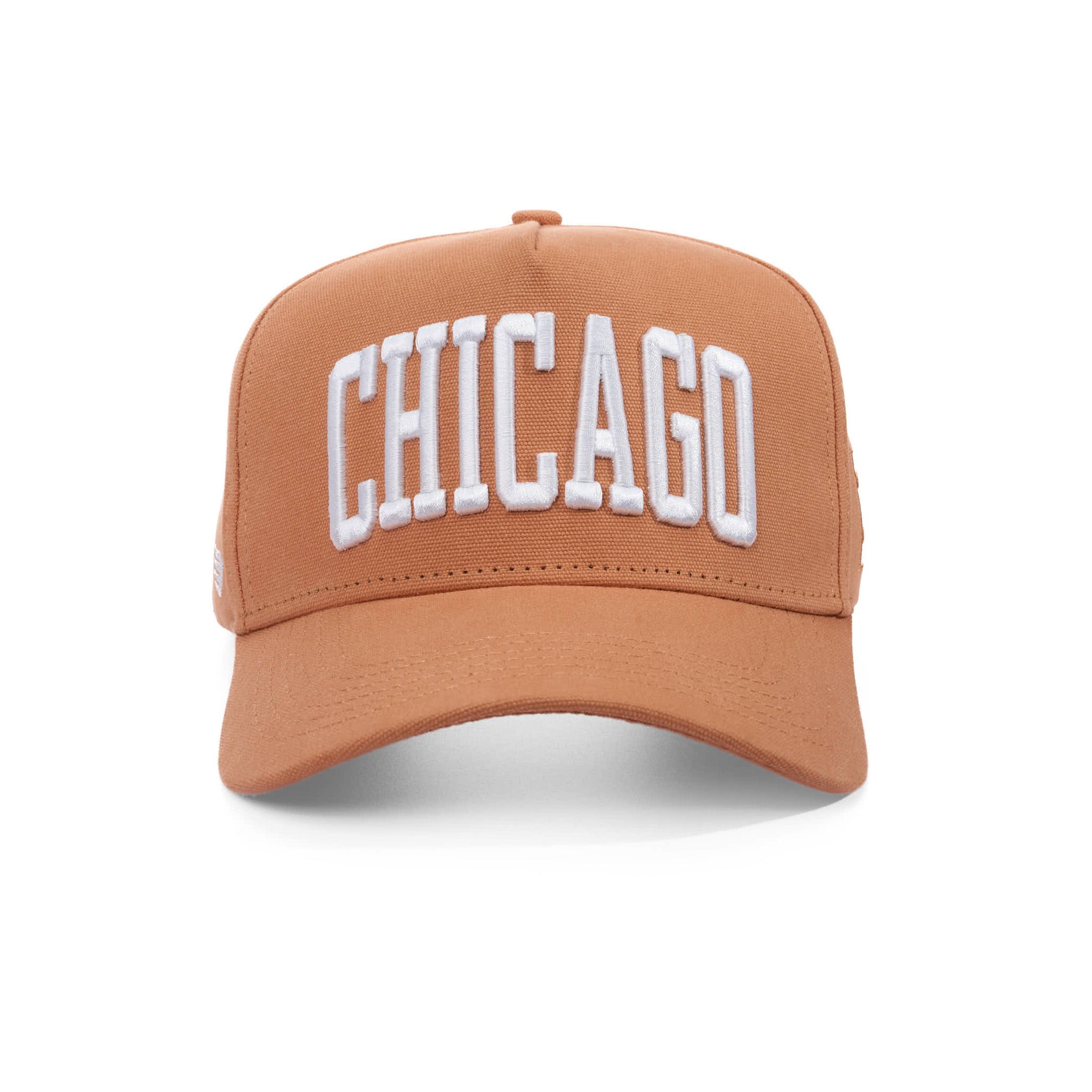 CHICAGO ARCH - CANVAS