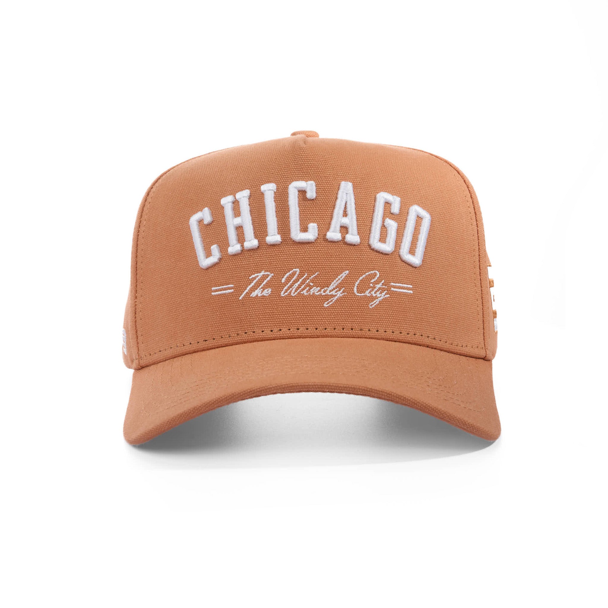 CHICAGO THE WINDY CITY - CANVAS