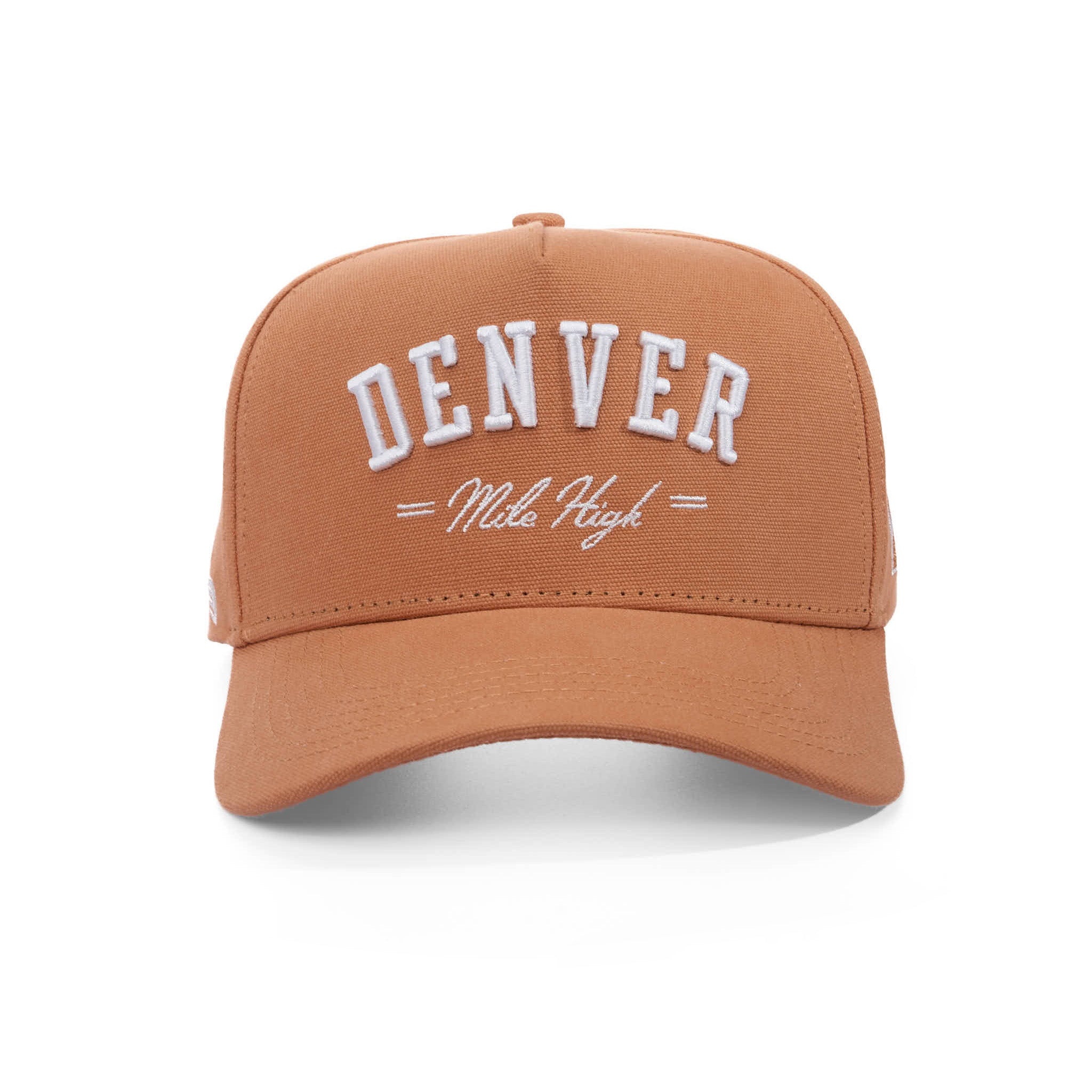 DENVER MILE HIGH - CANVAS