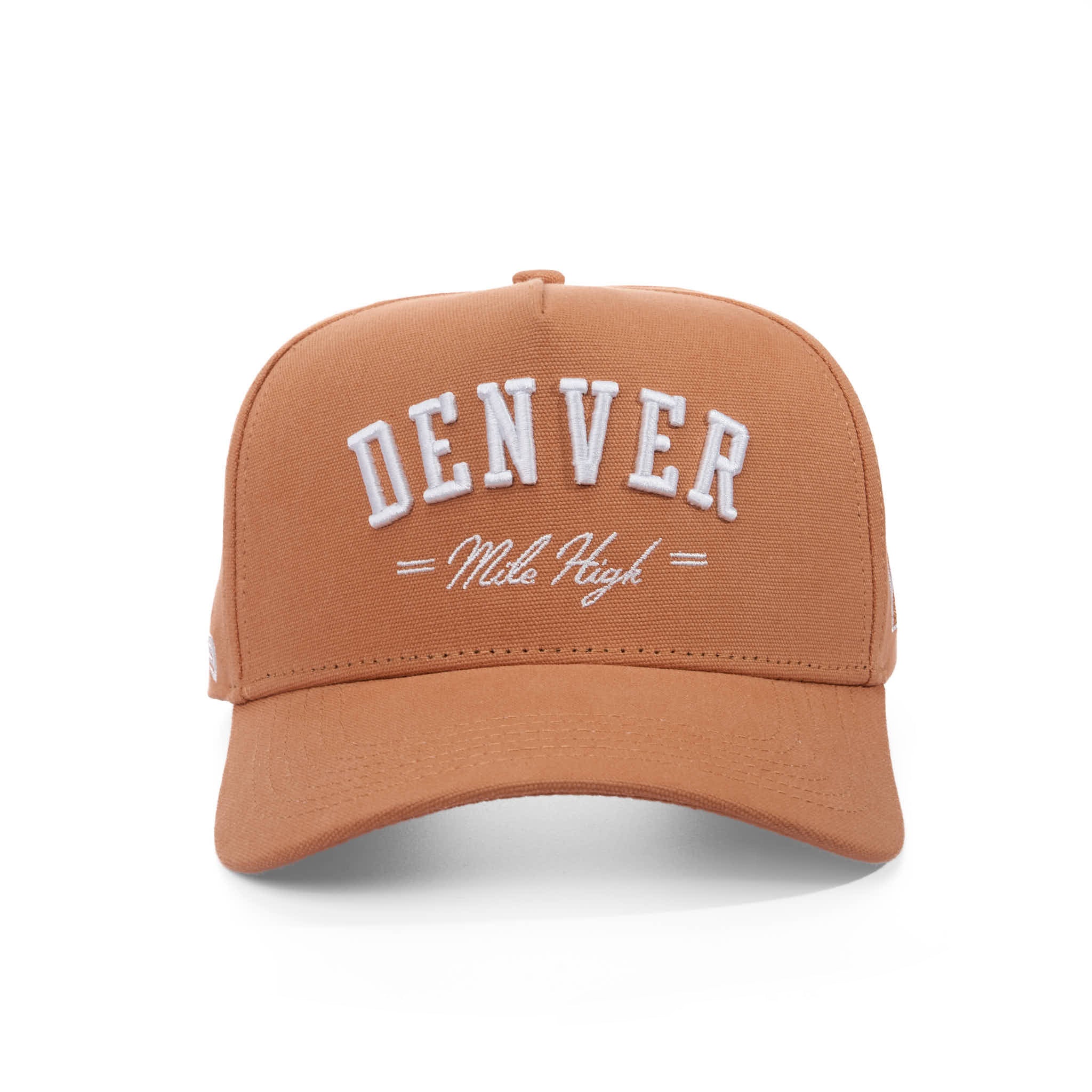 DENVER MILE HIGH - CANVAS